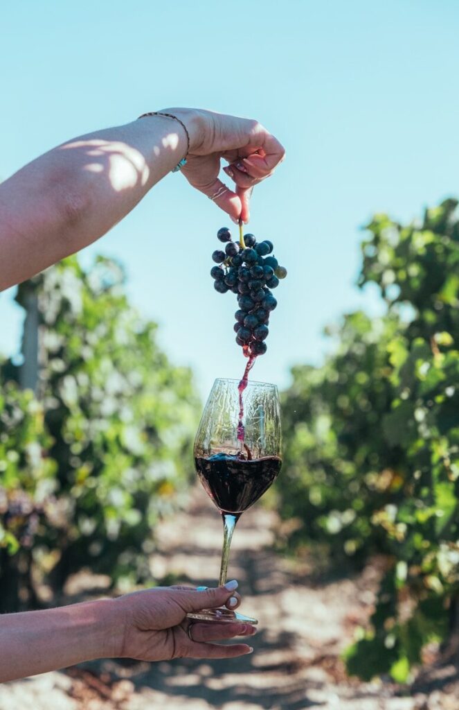 Photo by Maxime Kirschner A person holding a glass of wine in their hand
